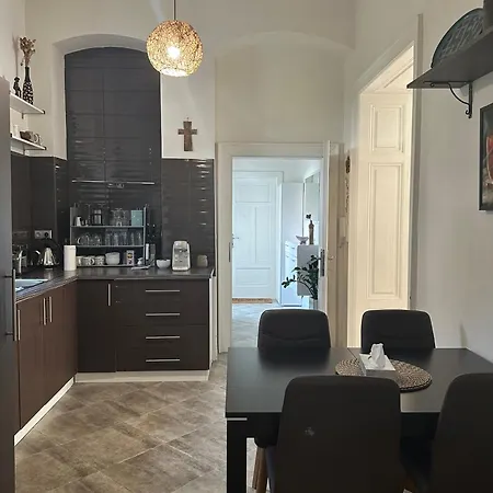 Comfort Brno-city Center شقة برنو